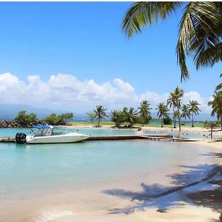 Studio Confort Pres Des Plages Le Gosier  Ngoại thất bức ảnh
